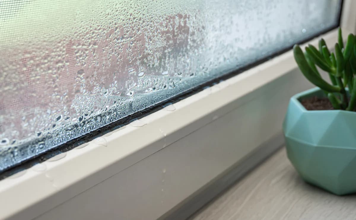 Janela embaçada com gotas de chuva no vidro e vaso de planta no parapeito